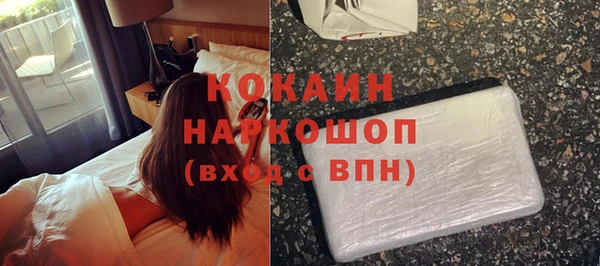 шишки Абаза
