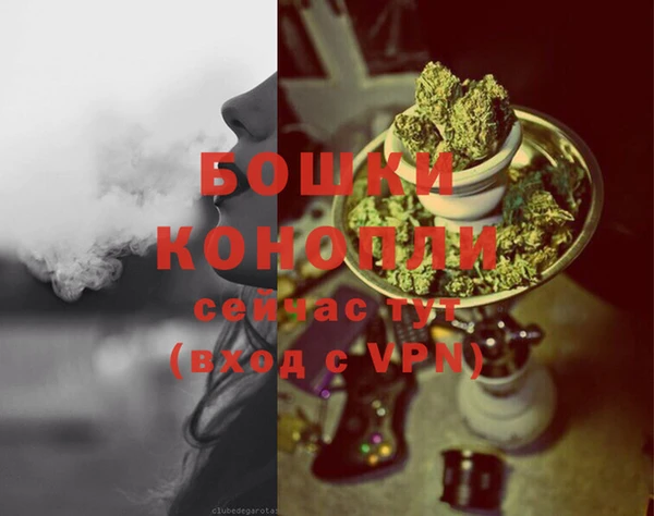 шишки Абаза