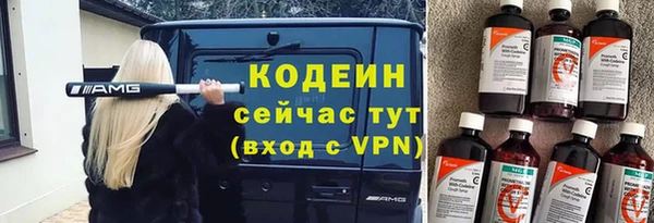 шишки Абаза